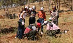 Hatay’ın Koruma Altındaki Misafirleri İlgi Odağı Oldu