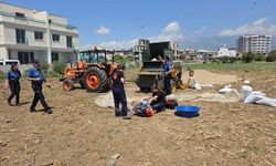Hatay'da Tarım Makinesi Can Aldı: 24 Yaşındaki İşçi Hayatını Kaybetti