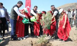 Hatay’da Yangının İzleri Siliniyor: Yanan Alana 1000 Fidan Dikildi
