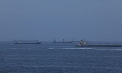 IMO: Körfez'deki tahliye durdurulmadan önce 115 gemiyle yaklaşık 2 bin 500 denizci tahliye edildi