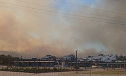 İzmir'de ziraat alanından makiliğe sıçrayan yangına müdahale ediliyor