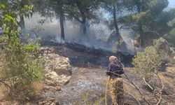 Kahramanmaraş'ta çıkan orman yangını kontrol altına alındı