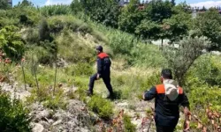 Defne’de Kaybolan Yaşlı Adam Sağ Salim Bulundu!
