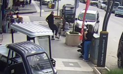 Köpeğine saldıran kediye tekme attı, o anlar kameraya yansıdı