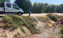 Kumluca'da sivrisinekle mücadele sürüyor