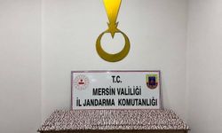 Mersin'de 7 bin 256 sentetik hap ele geçirildi, 1 tutuklama
