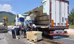 Mersin'de dorsesi kırılan tırdaki balık atıkları yola saçıldı