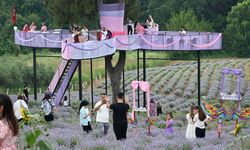 Osmaniye'de Lavanta ve Zeytin Çiçeği Festivali düzenlendi