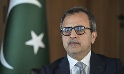 Pakistan, elektrik özelleştirme sürecinde Türkiye'nin deneyimlerinden yararlanmayı hedefliyor