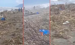 Samandağ Sahilinde Sivrisinek Ve Yılan Alarmı !