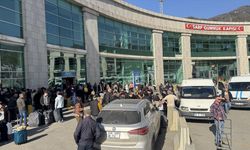 Sarp Sınır Kapısı'ndan Kurban Bayramı tatilinde 185 bini aşkın yolcu geçti