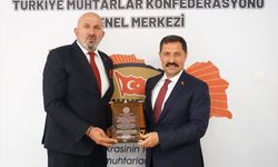 Türkiye Muhtarlar Konfederasyonundan Hatay Valisi Masatlı'ya 'Asrın Valisi' ödülü