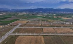 Türkiye'nin tıbbi ve aromatik bitkilerde 'ilk' ihtisas OSB'si 2027'de üretime geçecek