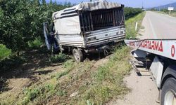 Yalvaç yolunda hayvan nakil kamyoneti kayısı bahçesine daldı: 1 yaralı