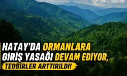 Hatay’da Ormanlara Giriş Yasağı Devam Ediyor, Tedbirler Arttırıldı!