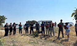 Hatay'da Yaralı Bulunmuşlardı... 18 Kuş Özgürlüğe Kavuştu