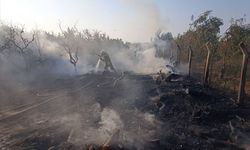Hatay'da bahçede çıkan yangın söndürüldü