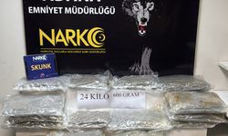 Adana'da tırda 24 kilo 600 gram sentetik uyuşturucu ele geçirildi