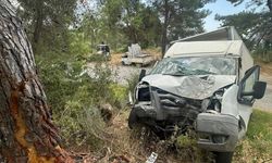 Alanya'da ağaca çarpan kamyonetin sürücüsü öldü, 1 kişi ağır yaralandı