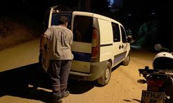 Alanya'da yaralı halde bulunan domuz yavrusu tedaviye alındı