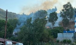 Anamur ilçesinde ağaçlık alanda çıkan yangın söndürüldü