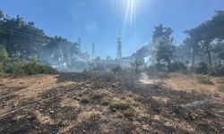 Antalya'da çıkan orman yangınında 3 dönüm alan zarar gördü