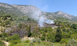 Antalya'da evde çıkan ve ormana sıçrayan yangın kontrol altına alındı