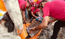 Antalya'da kaybolan Alzheimer hastası yaşlı kadın dere yatağında bulundu