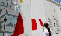 Antalya'da trafo duvarları grafiti sanatıyla süsleniyor