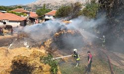 Burdur'da tarım arazisinde çıkan yangın söndürüldü