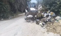 Defne'de Temizlik Seferberliği! Belediye Ekipleri İlçenin Dört Bir Yanında