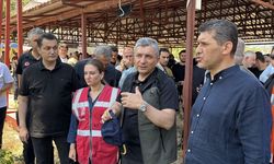 GÜNCELLEME 2 - Antalya'nın Alanya ilçesinde orman yangınına müdahale ediliyor