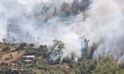 GÜNCELLEME 2 - Antalya'nın Kumluca ilçesinde çıkan orman yangınına müdahale ediliyor