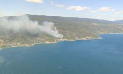 GÜNCELLEME 2 - Yalova'da çıkan orman yangını kontrol altına alındı