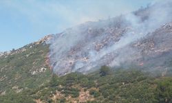 GÜNCELLEME - Kaş'ta başlayan orman yangınının enerjisi düşürüldü