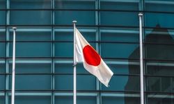 Japonya'da Temsilciler Meclisi, imparatorluk yasasının revizyonuna onay verdi