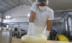 Kars'ta yılda yaklaşık 19 bin ton coğrafi işaretli kaşar ve gravyer üretiliyor