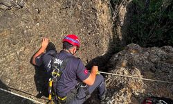 Kozan ilçesinde kayalıkta mahsur kalan keçi kurtarıldı