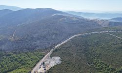 Manisa ve Muğla'daki orman yangınları kontrol altında