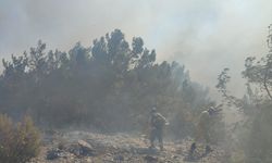 Mersin'de çıkan orman yangınına müdahale ediliyor