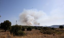 Midilli Adası'nda ormanlık alanda yangın çıktı