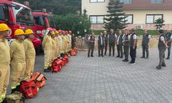Orman Genel Müdür Yardımcısı Kenan Akduman Mersin'de incelemelerde bulundu