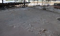 Pompeiopolis Antik Kenti'nde Roma villasının mozaikleri gün yüzüne çıkarılıyor