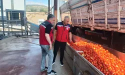 Hatay'da Salça Sezonu Başladı, Üretim Tesislerinde Denetimler Sıkılaştı