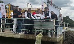 Samsun'da nesli tehlike altındaki mersin balığı yavruları Yeşilırmak'a salındı