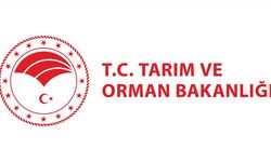 Tarım ve Orman Bakanlığı: Tarımsal üretimi tehdit eden herhangi bir çekirge istilası tespit edilmemiştir