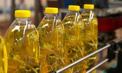 Türkiye'nin ayçiçeği yağı ihracatı yılın ilk yarısında yüzde 20,1 arttı