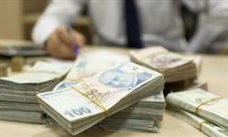 Türkiye'nin yerel gücü kalkınma ajanslarının destekleriyle büyüyor