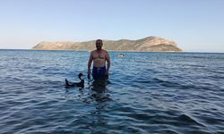 7 yıl önce sahiplendiği ördek 'Moli' ile Akdeniz'in mavi sularında tatil yapıyor