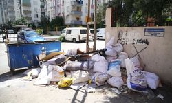 Adana Seyhan'da biriken çöpler kötü kokuya neden oluyor